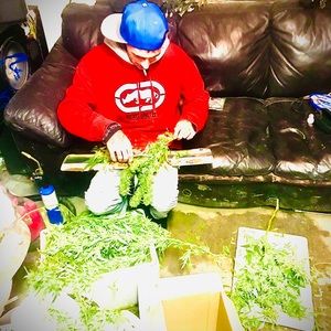 Meet your Posher, Catlin